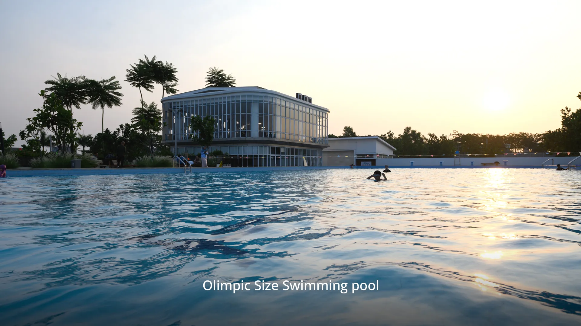 Olimpic Size Swimming pool